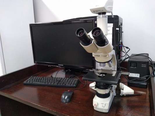 Microscópio óptico convencional modelo Leica DM, acoplado à câmera digital para fotomicrografias Leica DFC-2900 (Leica Microssisten, Wetzelar, Alemanha)
